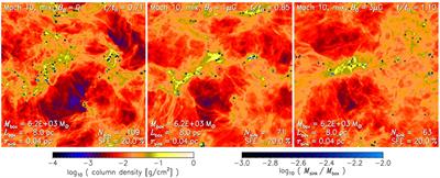 The Role of Magnetic Fields in Setting the Star Formation Rate and the Initial Mass Function